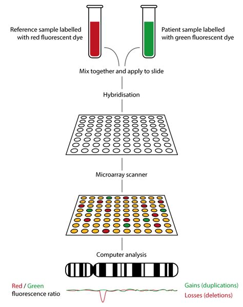 Microarray Array CGH Knowledge Hub