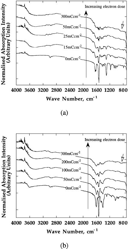 Time Resolved Ftir Spectra Of Electron Beam Damage Of A Eacac Al O