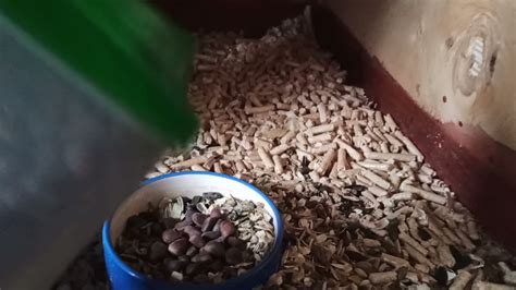 Умница и красавица😍🐿🤗 - YouTube