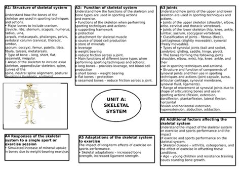 Btec Sport L3 Unit 1 Skeletal System Teaching Resources