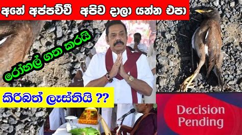 මහින්ද රාජපක්ෂ Mahinda Rajapaksa News Today Mahinda Rajapaksha Funny