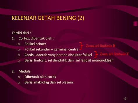 Ppt Konsep Dasar Imunologi Powerpoint Presentation Free Download