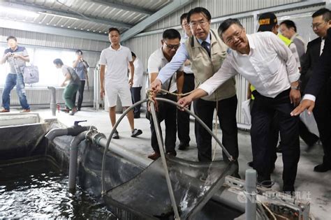 智慧漁電示範基地台南揭牌 黃偉哲盼創造多贏 地方 中央社 Cna