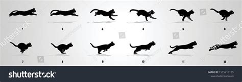 Cat Run Cycle Animation Sequence Animation Stock Vector (Royalty Free ...