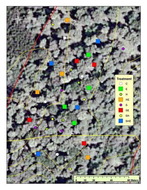 Managing Sedge for Better Northern Hardwood Regeneration (Stockbridge ...