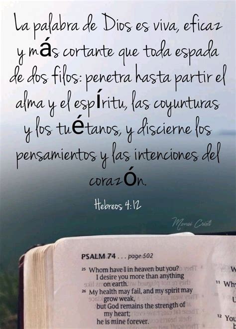 Hebreos Palabra De Vida Palabra De Dios Citas De La Biblia