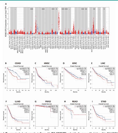 Figure 1 From Long Noncoding RNA KCNQ1OT1 Is A Prognostic Biomarker And