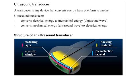 Parts Of Ultrasound Transducer