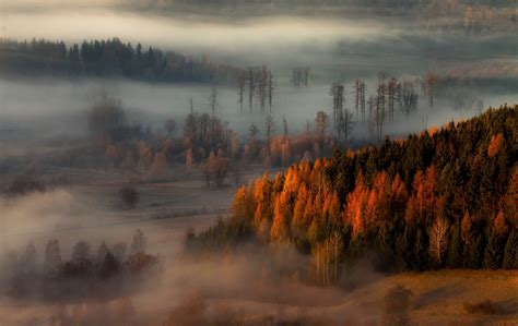 Wallpaper Trees Landscape Forest Fall Sunset Nature Reflection