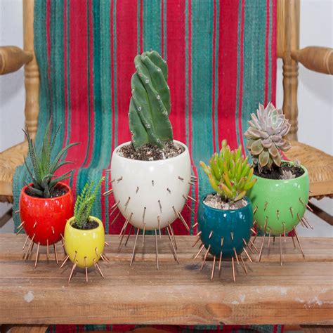 Maceta Modelo Cactus Curadoras Jardinesfloreros Y Macetas Homify