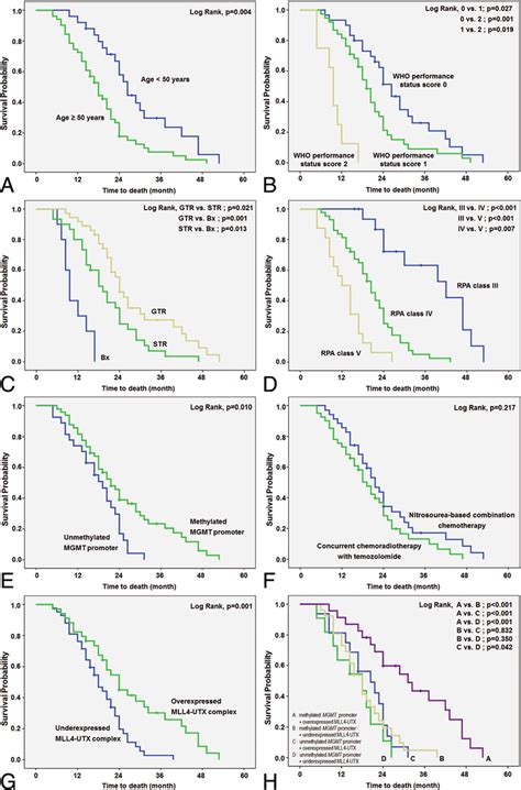 Kaplanmeier Survival Curves Of Patients With Gbm Grouped By Several