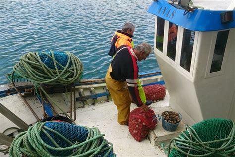 Comienza el Levantamiento de la Encuesta Socioeconómica para Pescadores