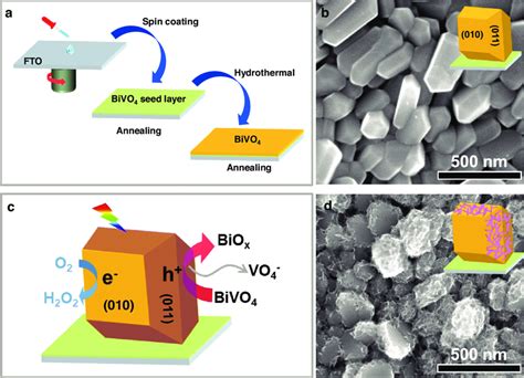 A Sketch Map Of The Preparation Processes Of The Photoanode Of Faceted