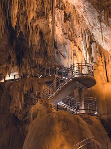 Book Hastings Cave Tours | Best Deals & Discounts