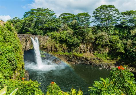 Manoa Falls