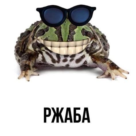 Создать мем "лягушку, смешные лягушки, рогатая лягушка" - Картинки ...