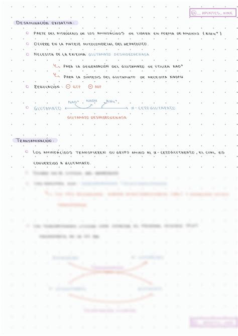 SOLUTION Metabolismo De Amino Cidos Apuntes Kine Studypool