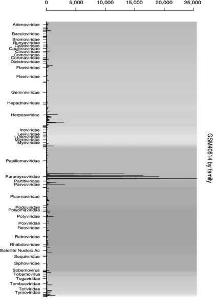 Figure2. Paramyxoviridae species, this figure shows an example of... | Download Scientific Diagram