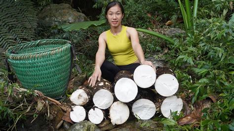 Harvest Tubers In The Forest Go To The Market Sell Green Forest Farm