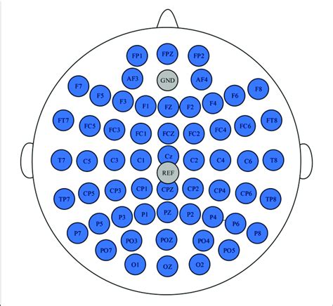 The Position Of The Selected Electrodes And The Cz Ref Download Scientific Diagram