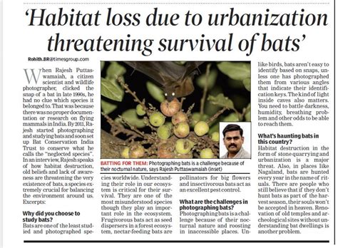 Habitat loss due to urbanization threatening survival of bats – Bat Conservation India Trust