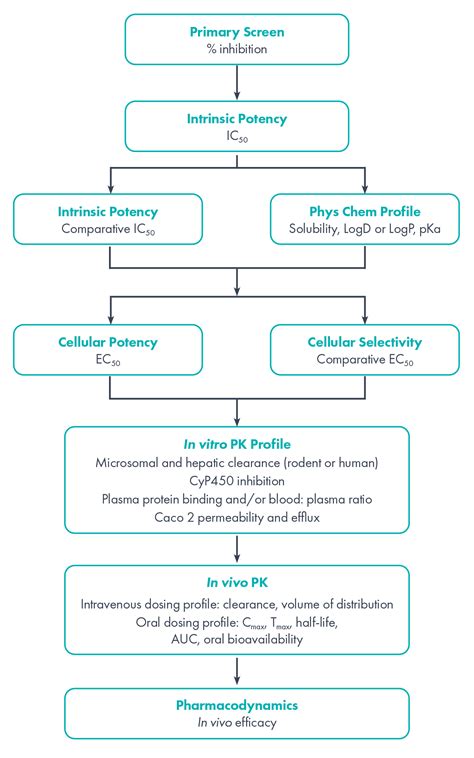 Compound Screening Drug Discovery Domainex