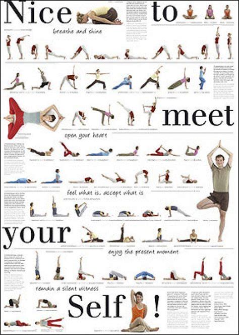 Pilates Posters Buy Online Pilates Poster Yoga Postures Workout Chart