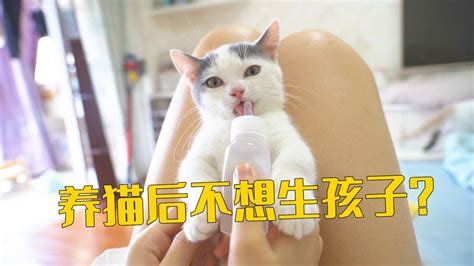 养了5只猫后，小夫妻想要丁克？高清1080p在线观看平台腾讯视频