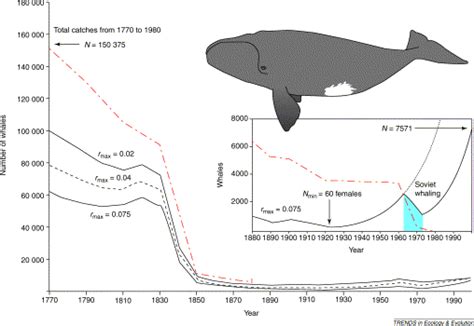 The Humpback Whale Population Graph