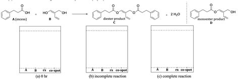 Solved In the formation of the diester, the monoester | Chegg.com