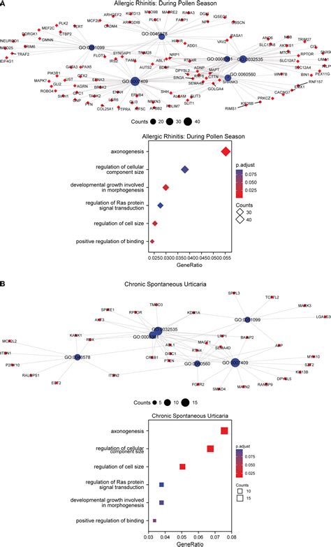 Frontiers | DNA methylation regulatory patterns and underlying pathways