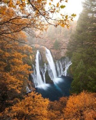 Chasing Shasta Lake Waterfalls: A Refreshing Adventure