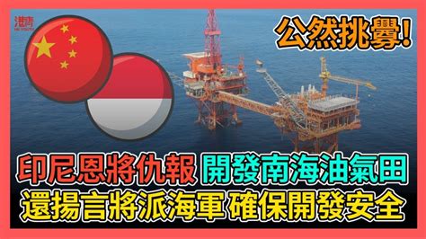 南海爭議 印尼恩將仇報 開發南海油氣田 還揚言將派海軍確保開發安全 香港青年 大眼 Youtube