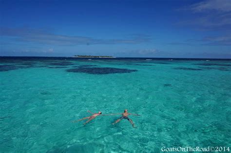 The Tobago Cays – A Perfect Day of Sailing in the Caribbean - Goats On ...