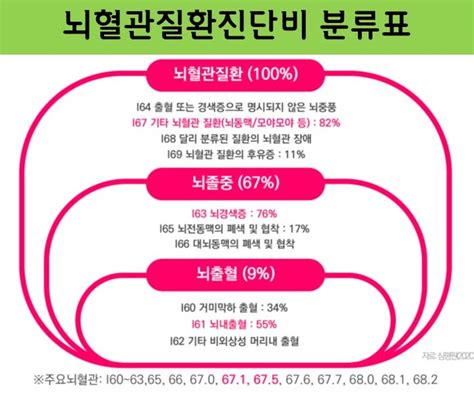 2대질병 뇌혈관질환 심장질환 분류표 및 진단비 네이버 블로그