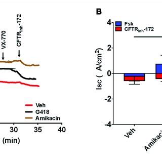 Increased Cftr Dependent I Sc With Treatment With The Translational