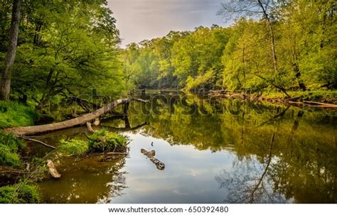 6 609 North Carolina Woods Images Stock Photos Vectors Shutterstock