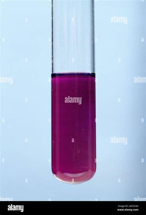 Iodine Solubility Test Tube Of Iodine Dissolved In Cyclohexane To Form A Purple Solution Stock