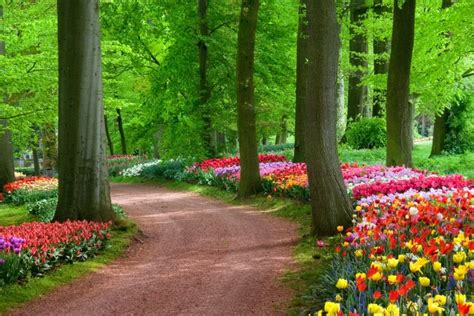 Home Flower Gardens And Flower Landscape Pictures