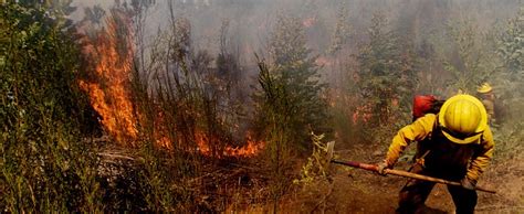 Onemi Actualiza Resumen Nacional De Incendios B O B O Y Los Lagos