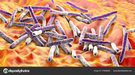 Mycobacterium Leprae Electron Micrograph