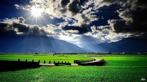 Sawah Wallpapers Top Những Hình Ảnh Đẹp