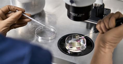 Ivf Sex Selection Everything To Know From Cost To Ethical Concerns