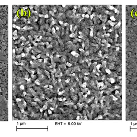 Top View Sem Images Of Perovskite Starch Crystals Grown On Poly Tpd