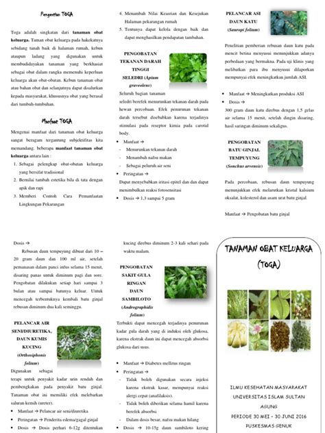 Leaflet Toga 2 Pdf