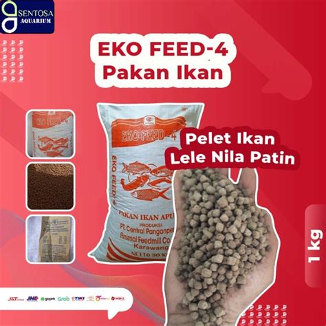 Jual Pakan Ikan Pelet Apung Eko Feed Kg Pakan Ikan Mas Lele