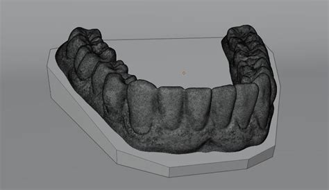 Human Teeth 3d Model 3d Printable Cgtrader