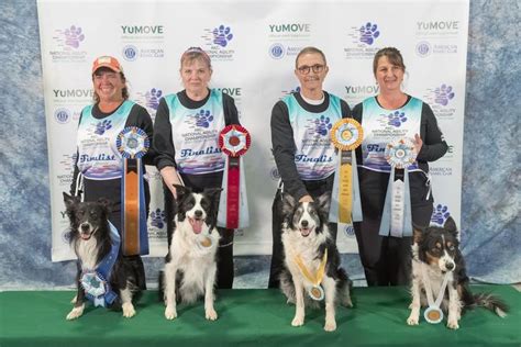 Meet The Akc National Agility Championship Winners For