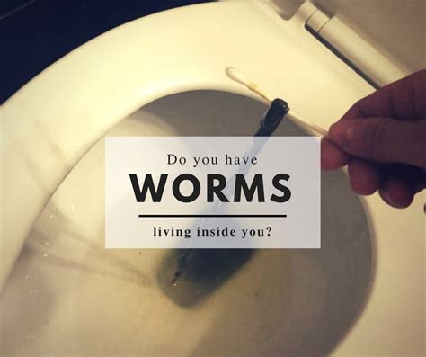 Intestinal worms: identify parasite symptoms & parasite treatment