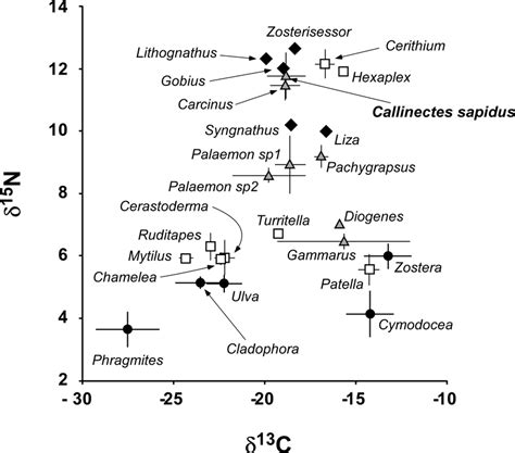 Bi Plot Of δ 13 C And δ 15 N Signatures Of Basal Resources Circles Download Scientific